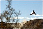 Maddison_03_SPD0845.jpg
