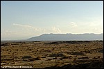Misc_066_SPD1430.jpg