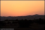 Misc_095_SPD1653.jpg