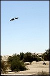 Misc_111_SPD1757.jpg