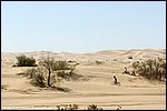 Misc_112_SPD1758.jpg