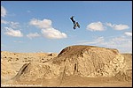 Potter_10_SPD1234.jpg