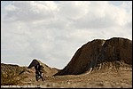 Renner_09_SPD1133.jpg
