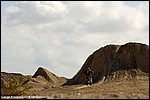 Renner_10_SPD1134.jpg