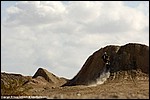 Renner_11_SPD1135.jpg