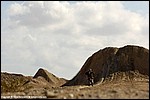 Renner_22_SPD1146.jpg