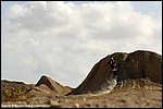 Renner_23_SPD1147.jpg