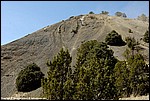 Burlew_08_SPD5953.jpg