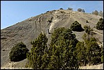 Burlew_09_SPD5954.jpg