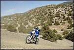 Burlew_15_SPD6009.jpg