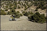 Miller_10_SPD5995.jpg