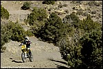 Miller_12_SPD6000.jpg