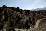 Miller_26_SPD6039.jpg