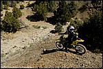 Miller_30_SPD6046.jpg