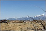 Misc_08_SPD5886.jpg