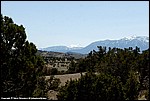 Misc_12_SPD5944.jpg