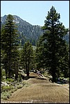 173_23_SPD9822.jpg
