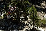 173_27_SPD9833.jpg