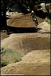 735_12_SPD9803.jpg