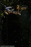 Carothers_01_SPD2088.jpg