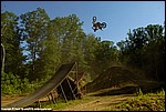 Carothers_07_SPD2225.jpg