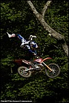 Rebaud_06_SPD2057.jpg