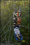 Rebaud_12_SPD2354.jpg