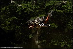 Renner_05_SPD2044.jpg