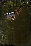 Renner_13_SPD2093.jpg