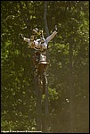 Renner_15_SPD2098.jpg