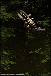 Teel_02_SPD2010.jpg