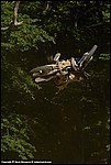 Teel_05_SPD2060.jpg