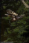 Teel_06_SPD2061.jpg