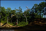 Teel_32_SPD2269.jpg