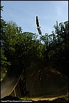 Teel_38_SPD2296.jpg