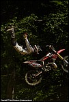 Wilson_05_SPD2003.jpg