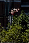 Bamburg_18_SPD2893.jpg