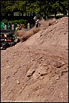 Carothers_15_SPD2693.jpg