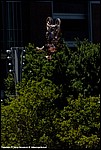 Higashino_22_SPD2878.jpg