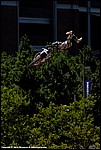 Lusk_18_SPD2832.jpg