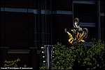 McNeil_05_SPD2847.jpg