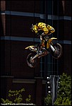 McNeil_06_SPD2848.jpg