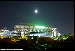 Misc_161_SPD2949.jpg