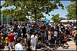 Misc_194_SPD3440.jpg