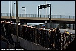 Misc_195_SPD3563.jpg