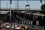 Misc_196_SPD3564.jpg