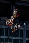 Potter_11_SPD3121.jpg