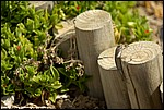 Misc_18_SPD9228.jpg
