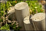 Misc_19_SPD9230.jpg