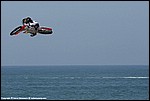 Mason_035_SPD8354.jpg